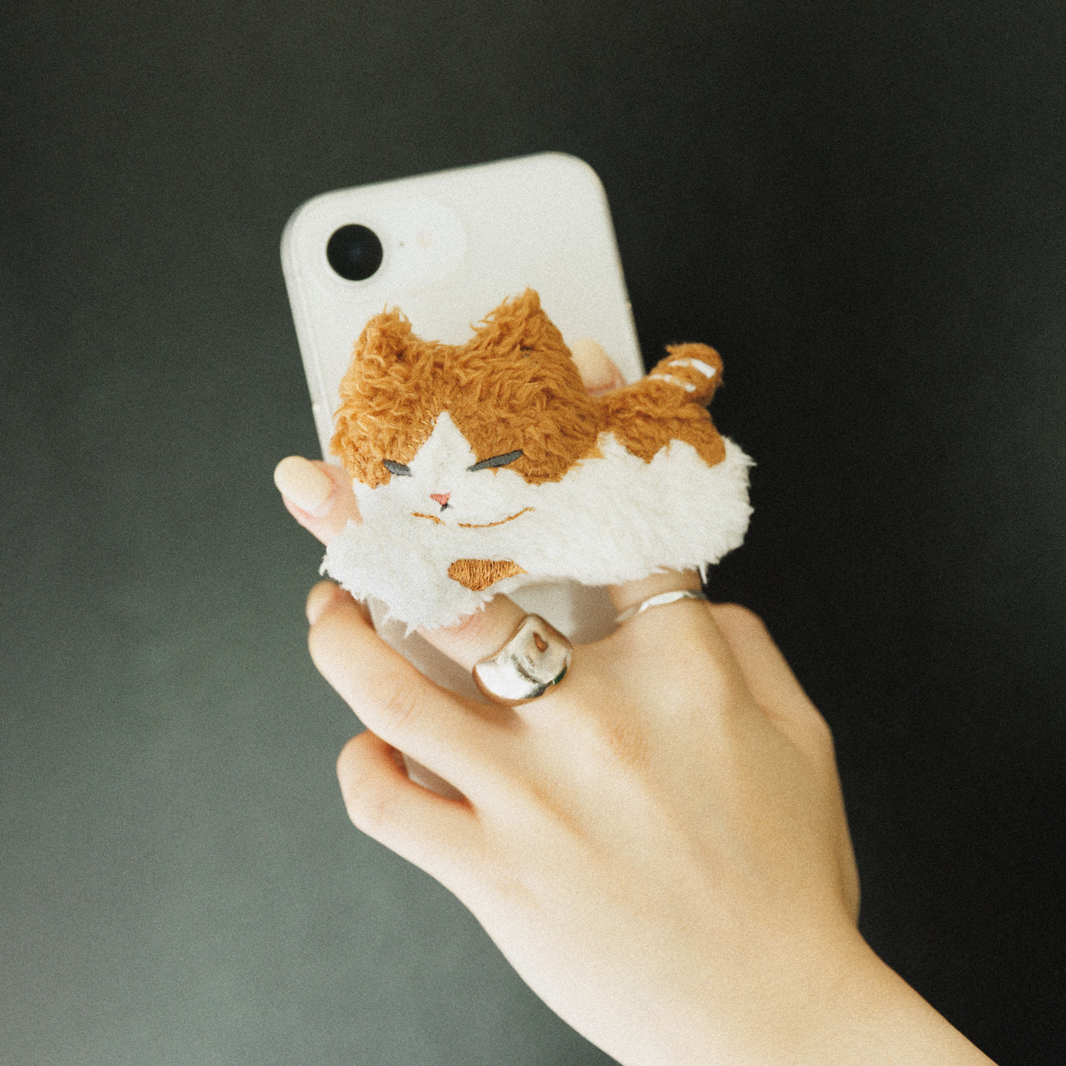 Fu-kun Stuffed Phone Grip